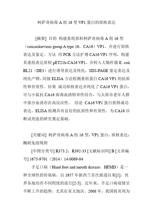 柯萨奇病毒A组16型VP1蛋白的原核表达