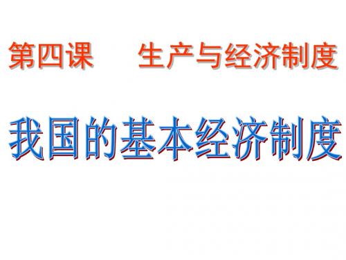 高一政治我国的基本经济制度(2)