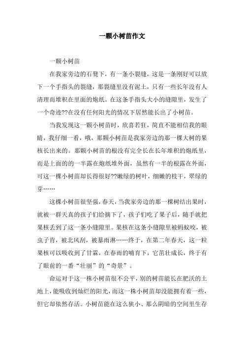 一颗小树苗作文