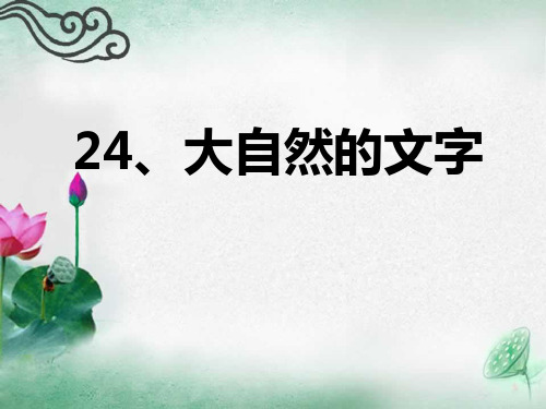 苏教版小学语文六年级上册24大自然的文字第二课时ppt课件