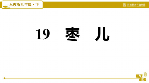 部编版九年级语文下册《19. 枣儿》
