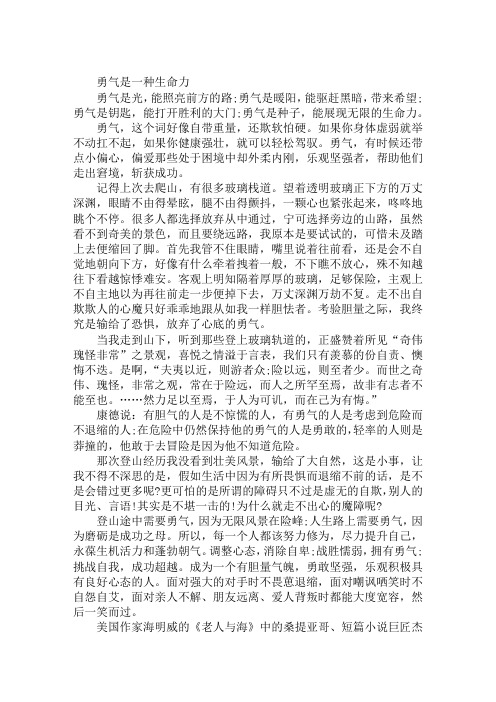 高考优秀作文范文：勇气是一种生命力