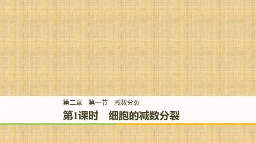 高中生物第二章减数分裂和有性生殖第一节减数分裂第1课时名师课件苏教版必修