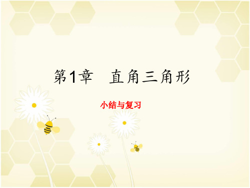 《直角三角形》复习课件