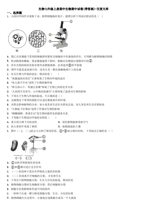 生物七年级上册期中生物期中试卷(带答案)-百度文库