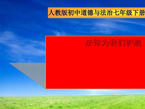 人教部编版10.1 法律为我们护航 课件(共24张PPT)