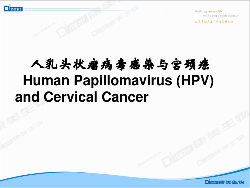 HPV病毒介绍及检测意义 ppt课件