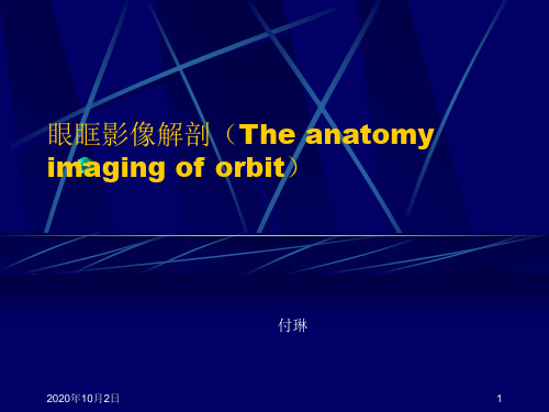 基础医学-人体解剖学-眼眶影像解剖PPT课件