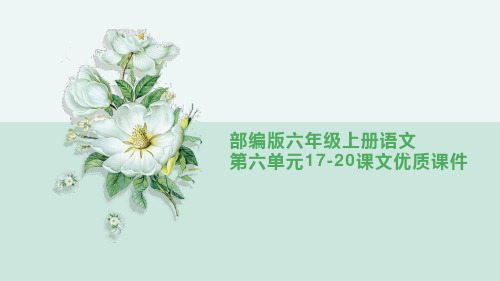 部编版六年级上册语文第六单元17-20课文优质课件