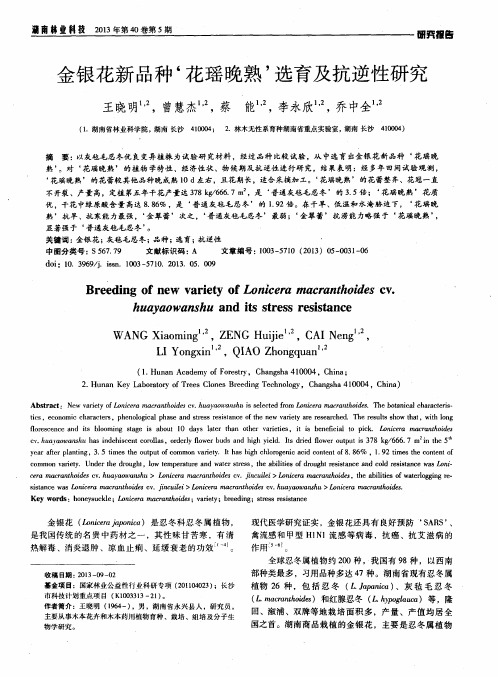 金银花新品种‘花瑶晚熟’选育及抗逆性研究