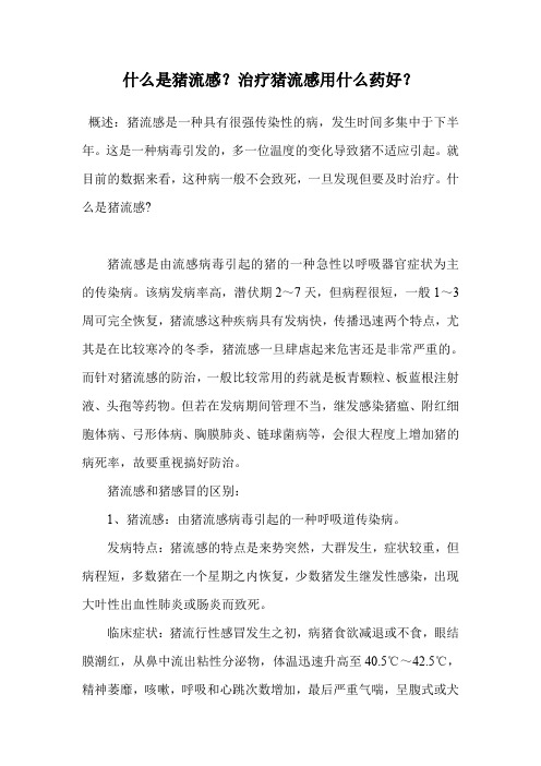 什么是猪流感？治疗猪流感用什么药好？.doc