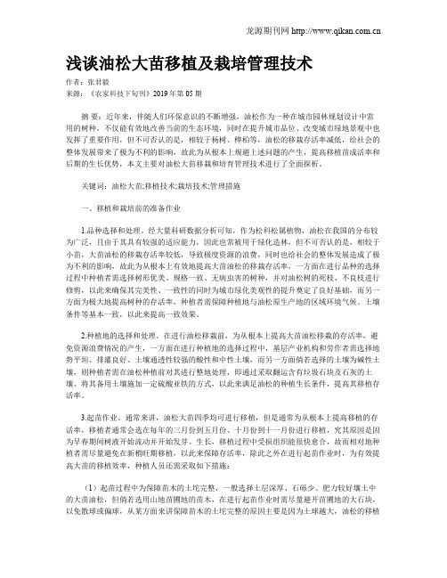 浅谈油松大苗移植及栽培管理技术