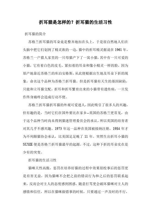 折耳猫是怎样的？折耳猫的生活习性