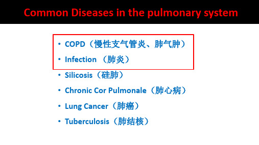 《呼吸系统教学资料》呼吸病理_zhou_中文版 课件