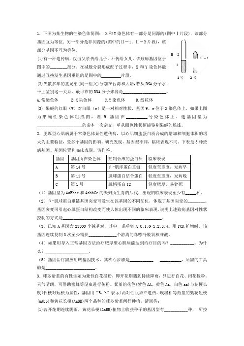 生物假期作业
