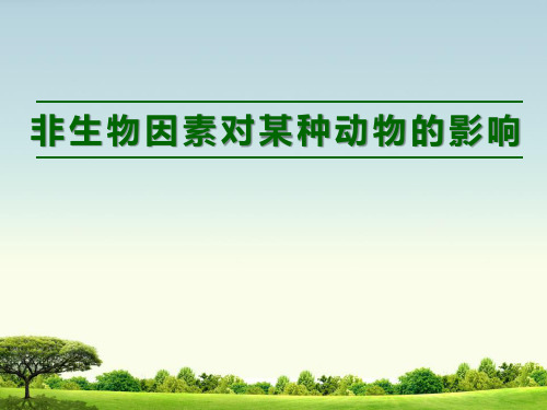 非生物因素对某种动物的影响-课件ppt