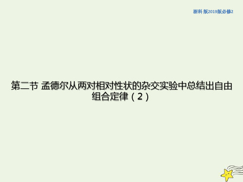 2021学年高中生物孟德尔从两对相对性状的杂交实验中总结出自由组合定律课件3浙科版必修2