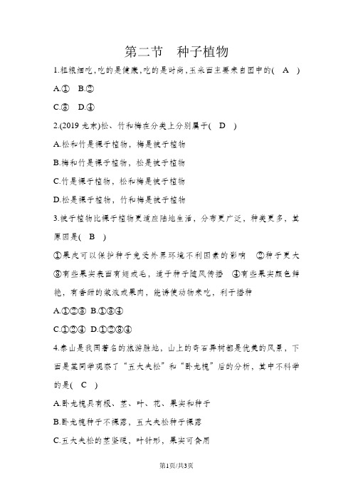 人教版七年级上册生物第三单元第一章第二节《种子植物》(有答案)