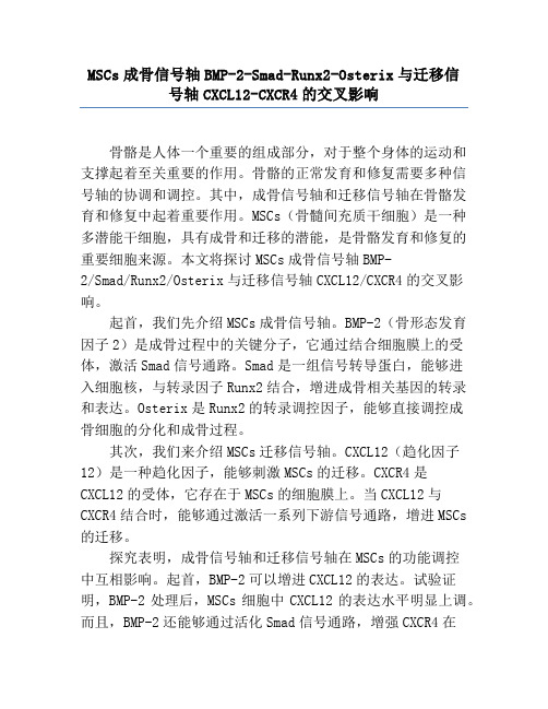 MSCs成骨信号轴BMP-2-Smad-Runx2-Osterix与迁移信号轴CXCL12-CXCR