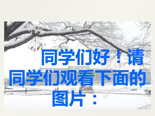 七年级历史下册 第一单元 第4课 科举制的创立课件 新人教版