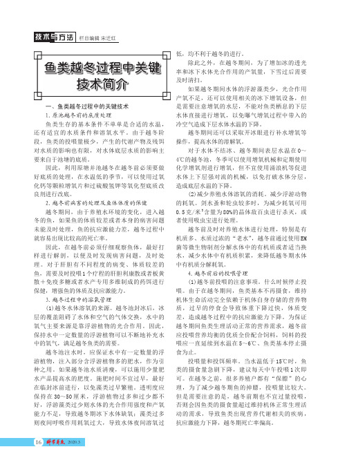 鱼类越冬过程中关键技术简介