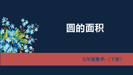 圆的面积