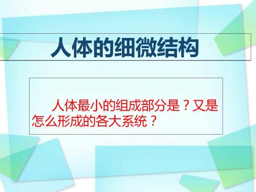 人体细胞和组织-文档资料