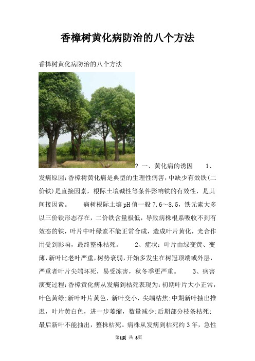 香樟树黄化病防治的八个方法