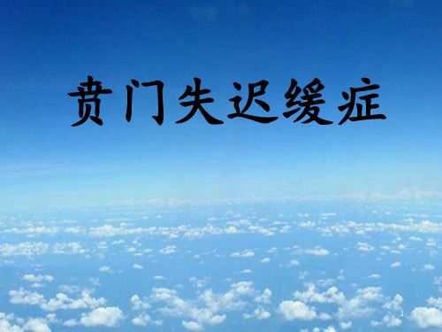 贲门失弛缓症最新诊疗幻灯片课件