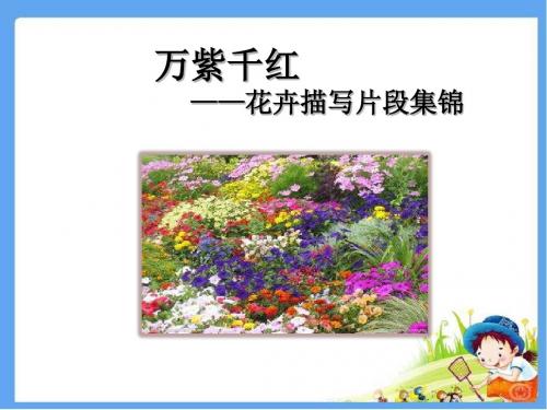 最新配套教科版四年级语文上册 万紫千红 精品公开课课件