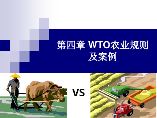 第五章 WTO农业规则及案例