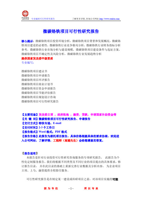 微碳铬铁项目可行性研究报告