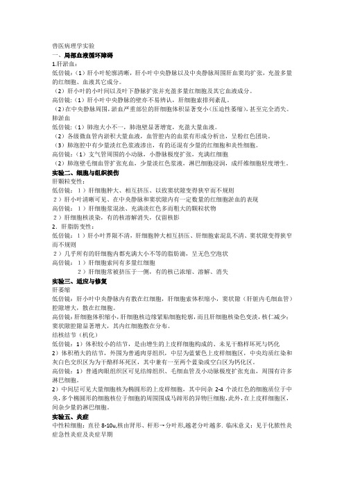 兽医病理学实验河南科技大学