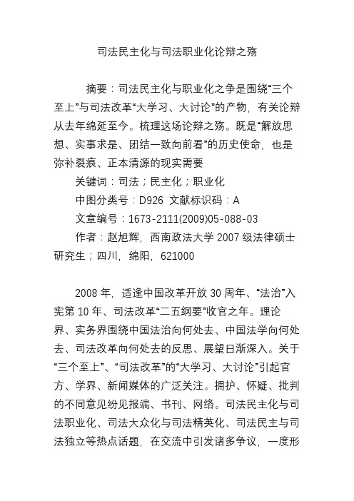 司法民主化与司法职业化论辩之殇