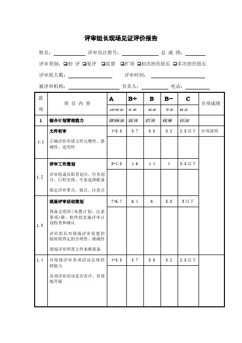 评审组长现场见证评价报告
