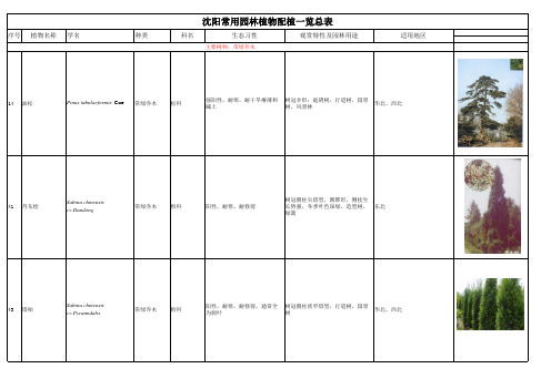 沈阳常规园林植物配植一览总表
