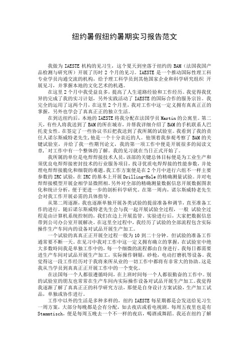 纽约暑假纽约暑期实习报告范文