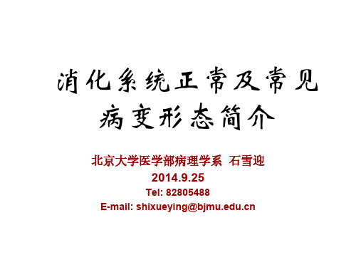 消化系统病理