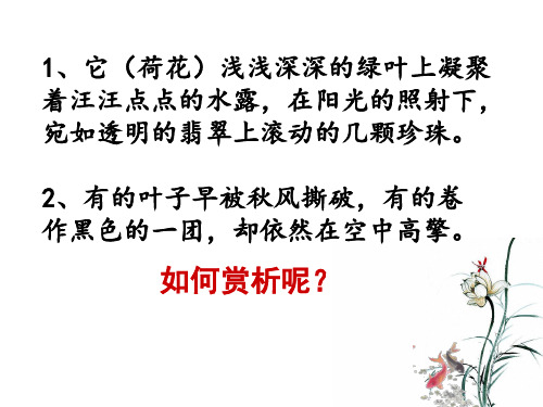 中考语文专题复习：现代文阅读语句赏析专题讲解(共52张PPT)