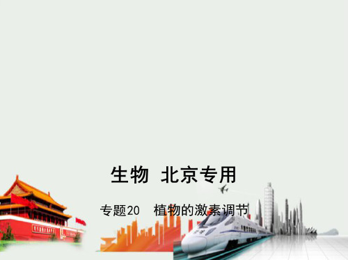 2021高考生物培优北京生物高考复习(课件)专题20 植物的激素调节(讲解部分)