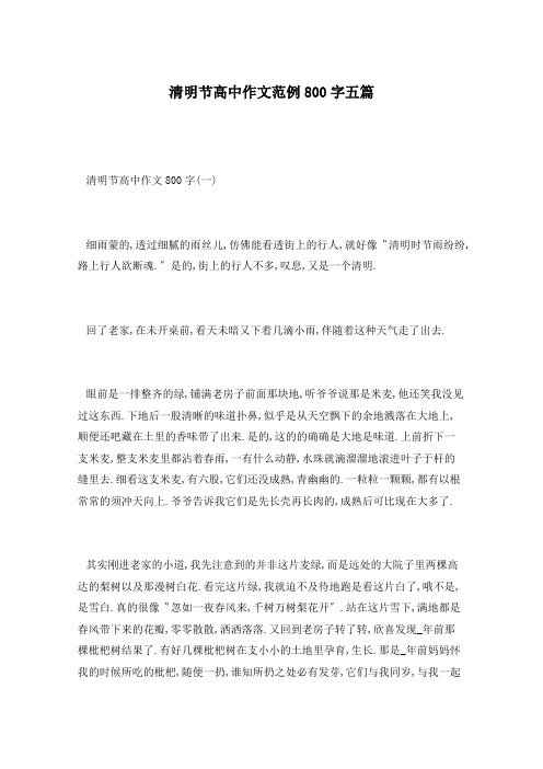 清明节高中作文范例800字五篇
