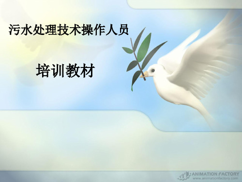 污水处理培训文稿