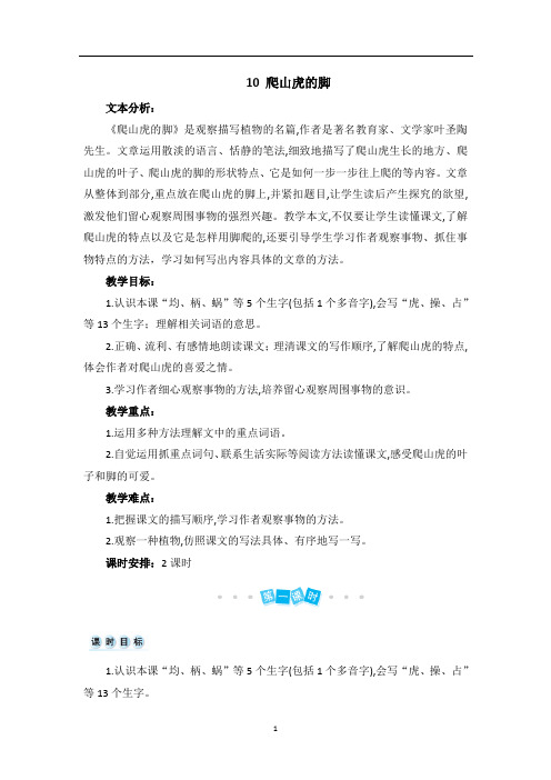 部编版四年级语文上册  10 爬山虎的脚  名师教案