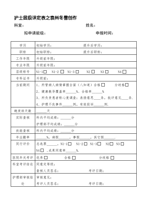 护士层级评定表