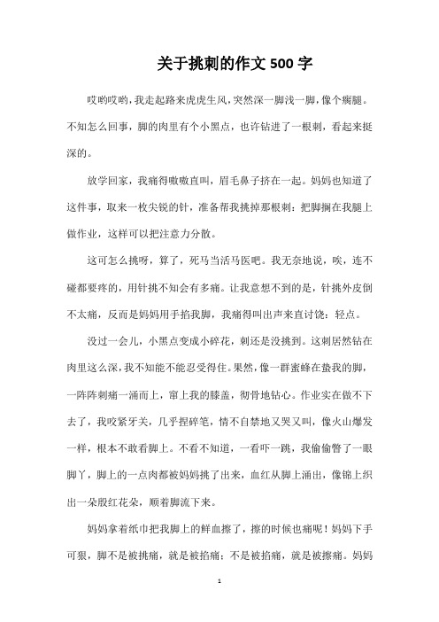 关于挑刺的作文500字