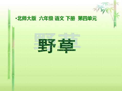 2018年北师大版语文第十二册《野草》课件