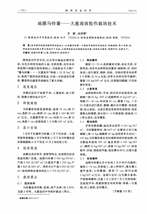 地膜马铃薯——大葱高效轮作栽培技术