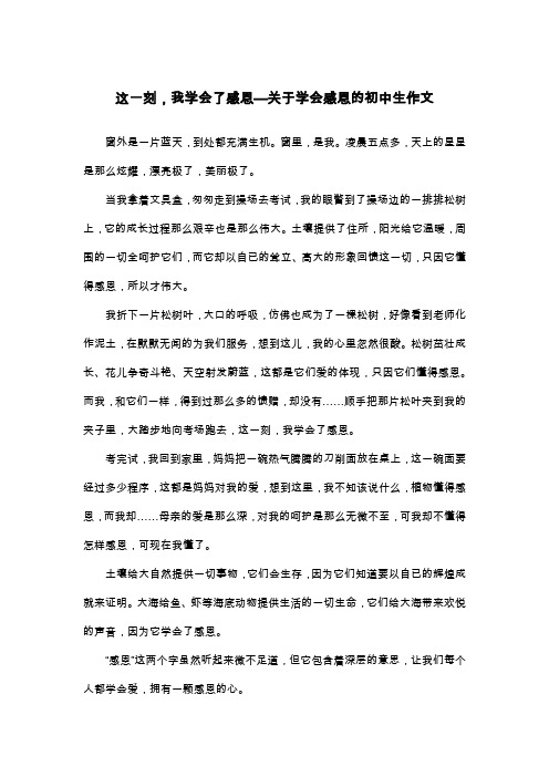 这一刻,我学会了感恩—关于学会感恩的初中生作文_散文