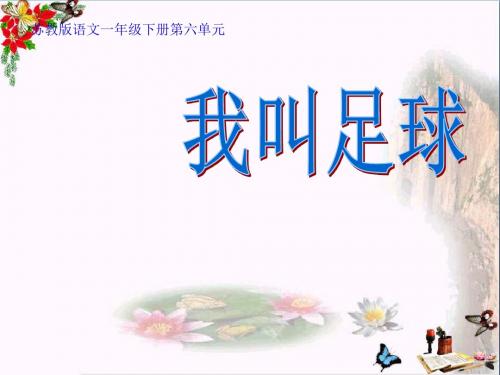 《我叫足球》 精品PPT课件2