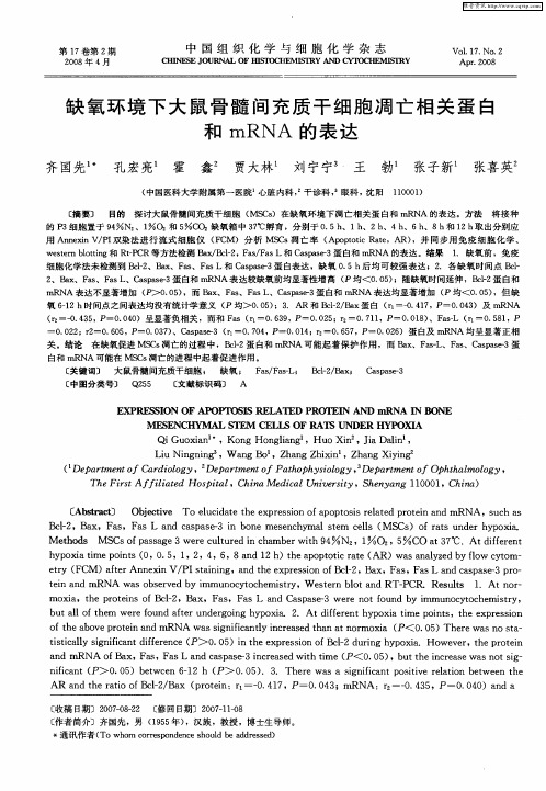 缺氧环境下大鼠骨髓间充质干细胞凋亡相关蛋白和mRNA的表达